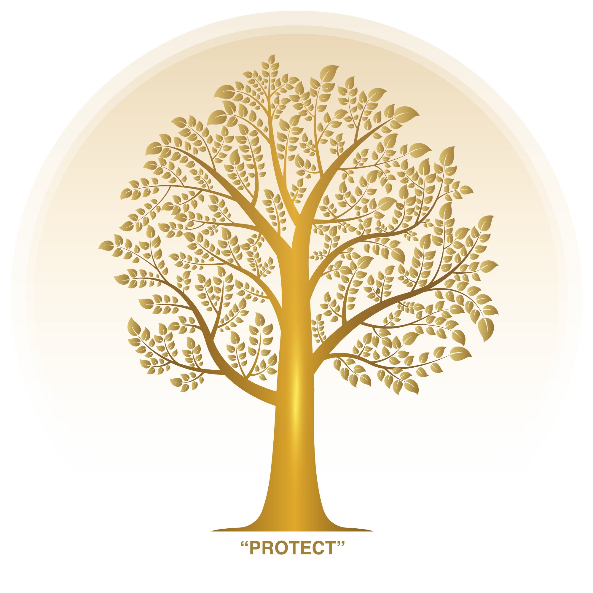 Proteva Insurance, Core value
