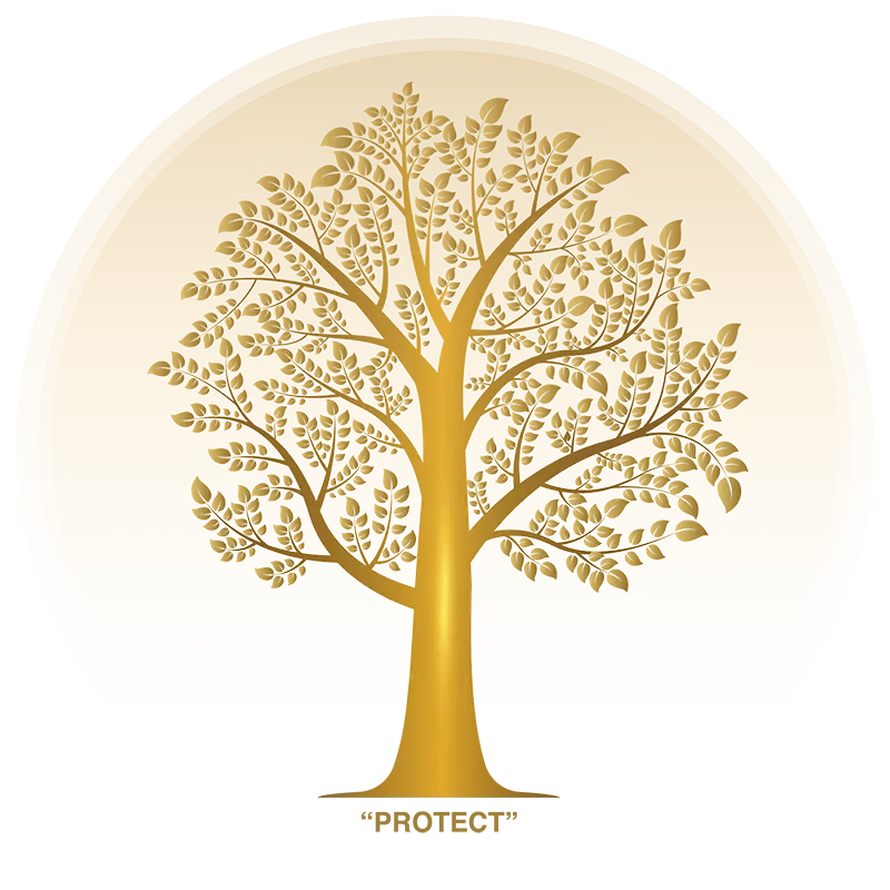 Core Values - Proteva Insurance